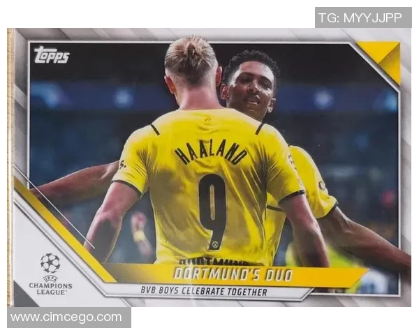 足球欧冠球星卡一盒售价及收藏价值解析 足球欧冠球星卡一盒售价及收藏价值解析