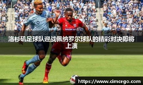 利来w66国际